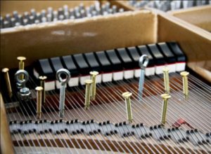 Асиметрія музики: тиша, що говорить